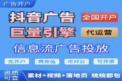 网络推广与竞价优化成功案例