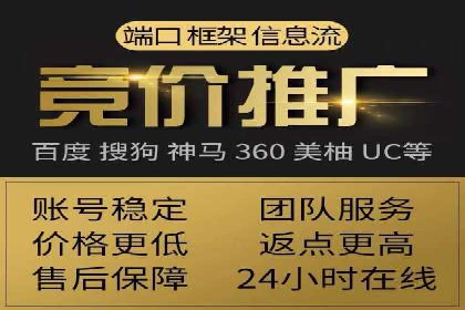企业SEM服务实战案例解析